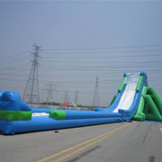 adult giant slides